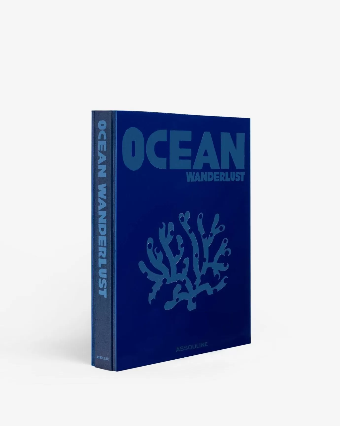 ASSOULINE Travel | Ocean Wanderlust (Waterproof Edition)